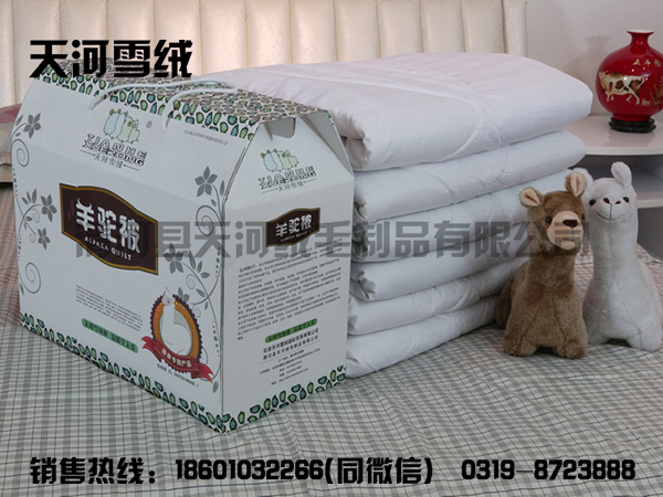 羊駝被